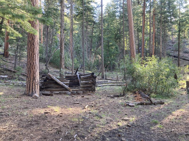 Old cabin site along Grant Creek