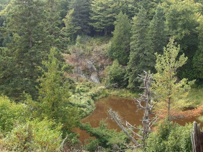 Yet another beaver dam waiting below