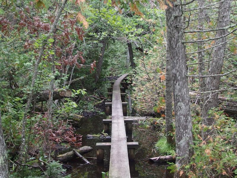 Easy boardwalk over a swampy section