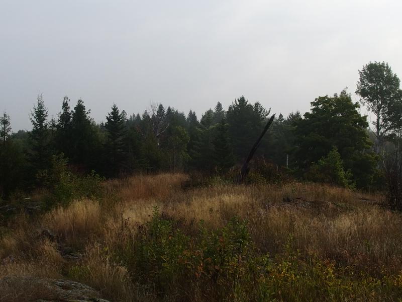 Grassy ridge on the trail