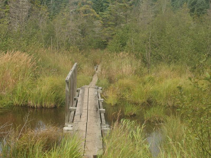 Wooden bridge over Tobin Creek