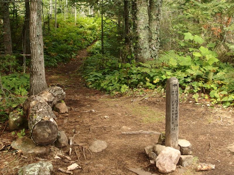 Trail junction on the Greenstone