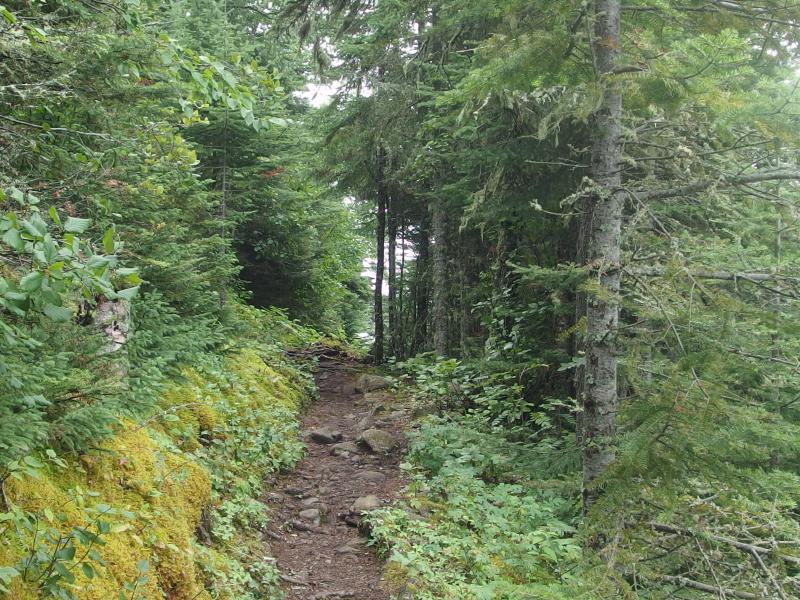 Along the Tobin Harbor Trail