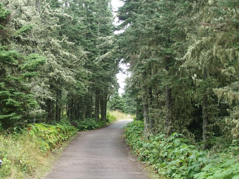 A paved start to the trail