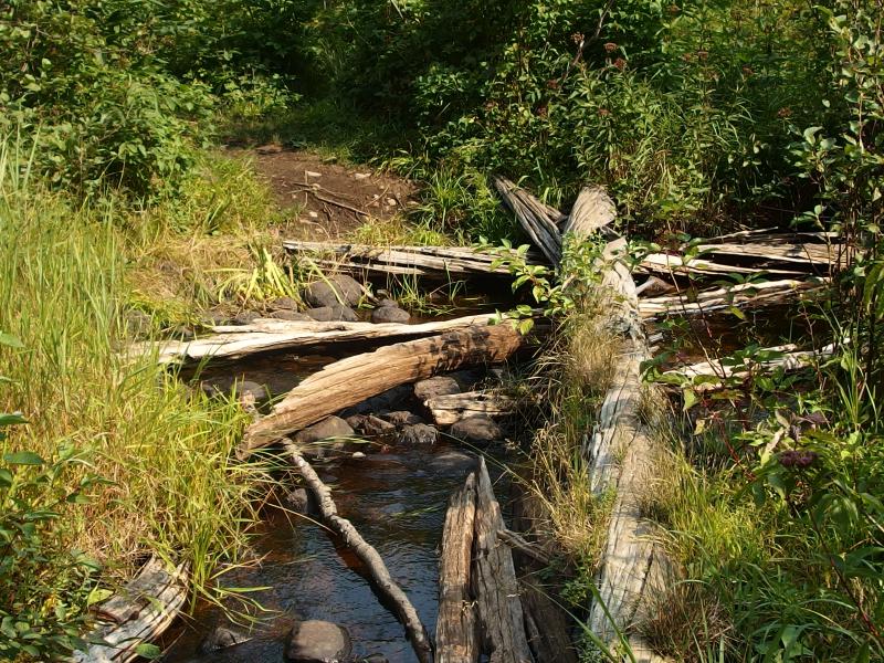 Fun creek crossing over decaying logs