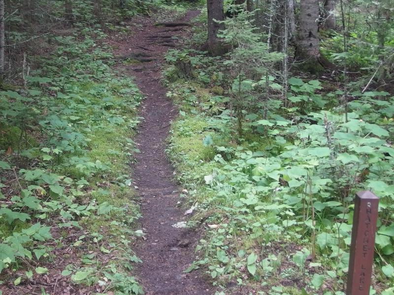 The trail to Hatchet Lake