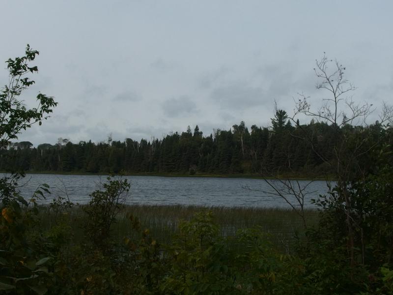 Along the shore of Chickenbone Lake