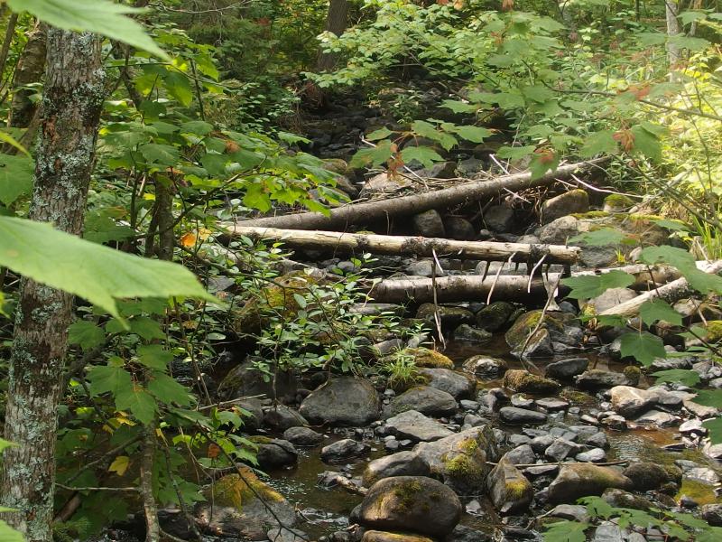 Little outlet creek jumping over dark rocks