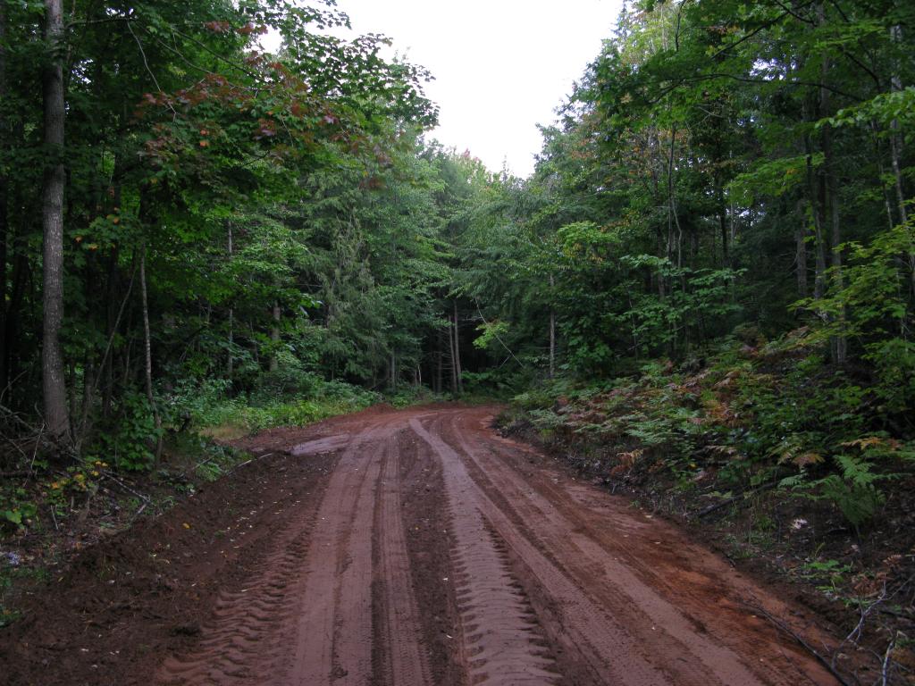 Blog | Ascending Ives Hill