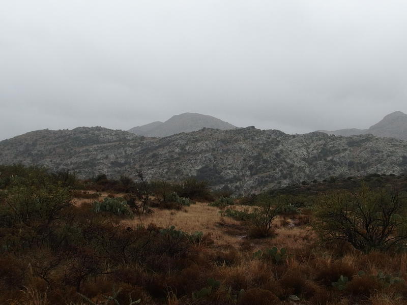 Bizarre coloring on the nearby ridge