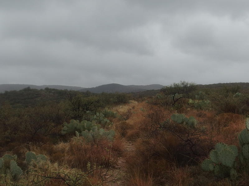 Dark, cloudy skies over the JF Trail