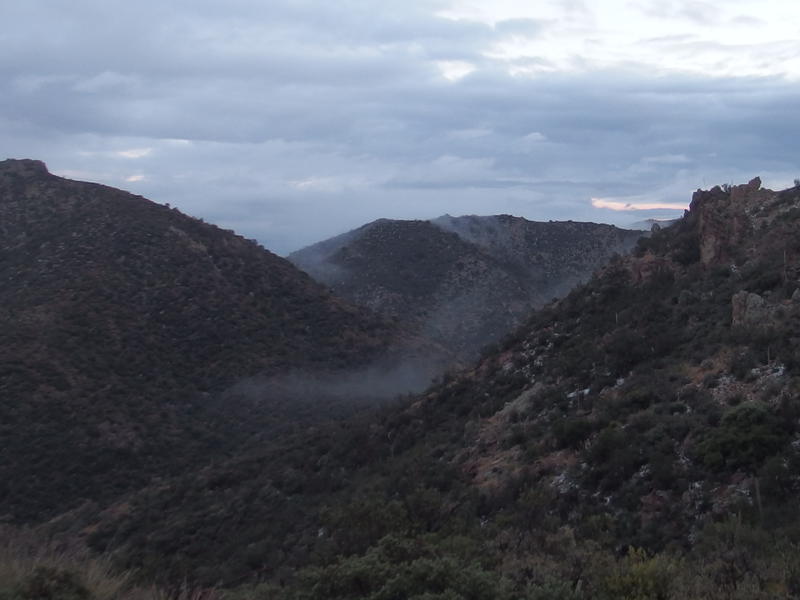 Mist already rising from the cold ground