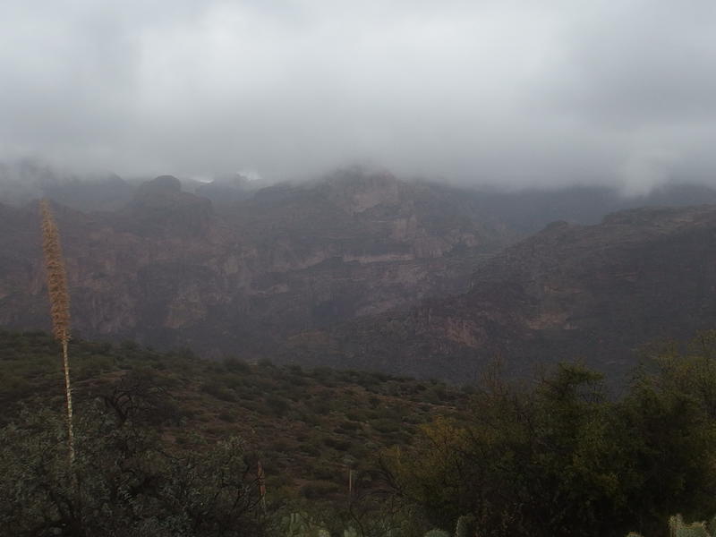 A deep and misty Fish Creek Canyon