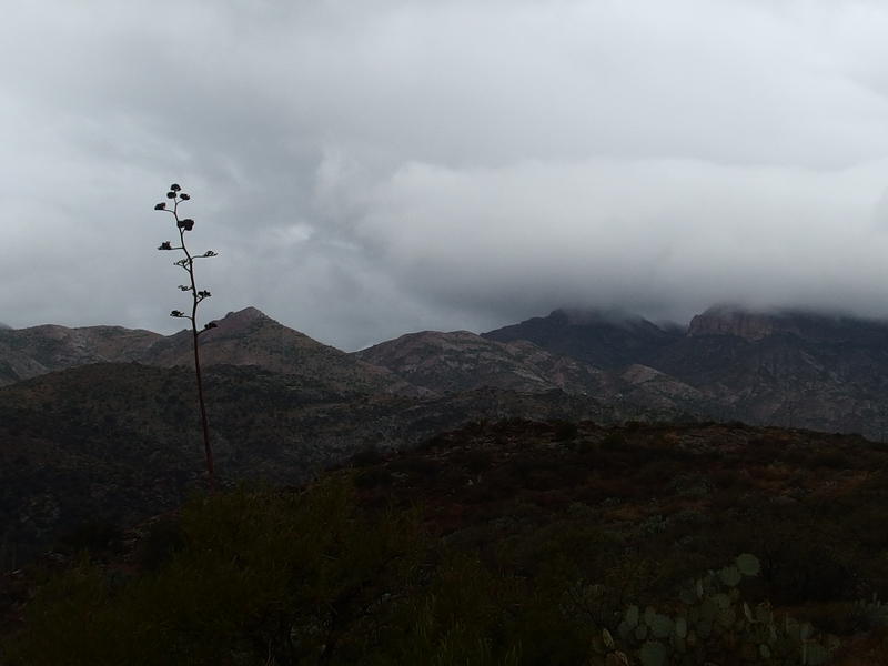 More clouds to the south