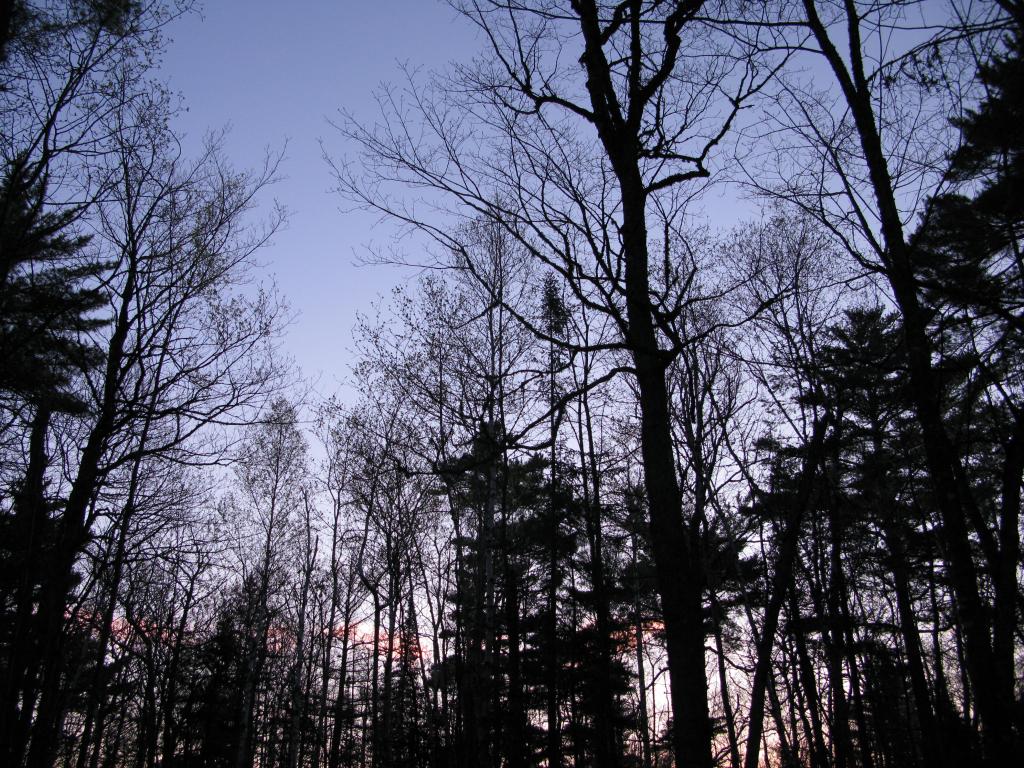 Blog | Keweenaw Hike - The North Shore