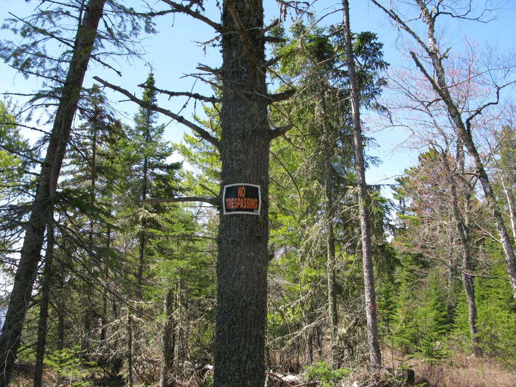 Blog | Keweenaw Hike - East Bluff