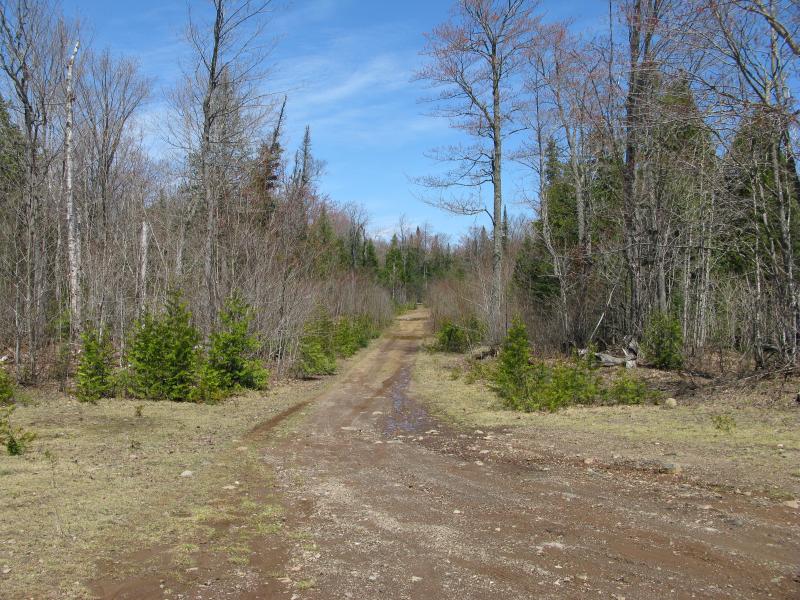 Rutted, rocky road leading inland from Keystone Bay