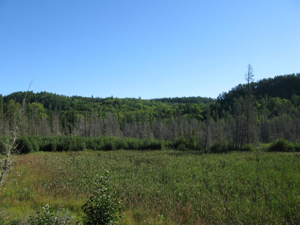Blog | The Cabin on Lake 8