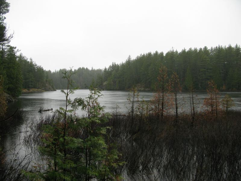 Looking south on Lake 8