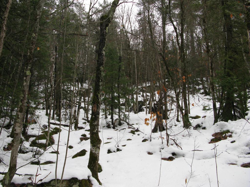 Blog | Bad Times on Lake Mine Hills