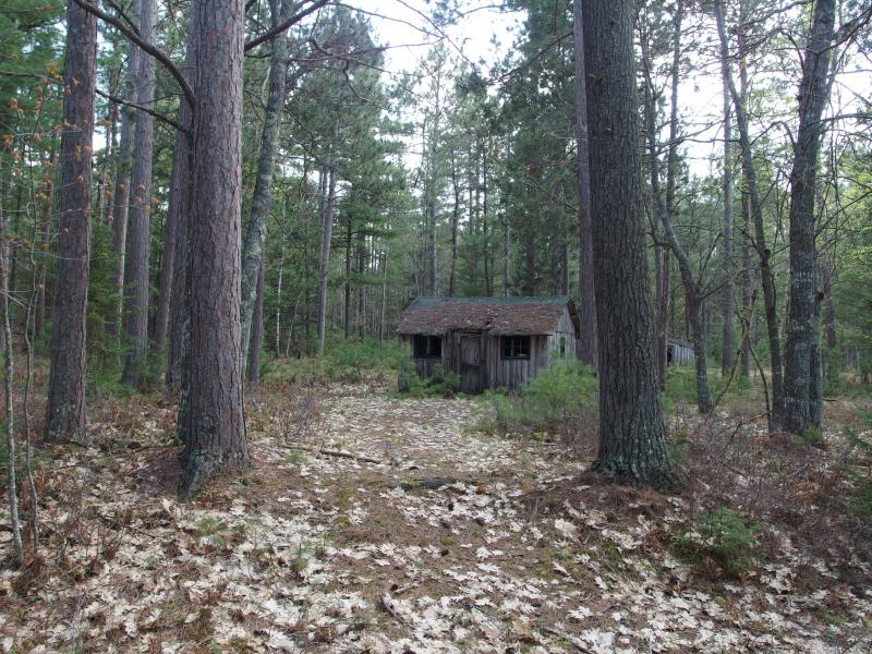 Old cabin just off the trail