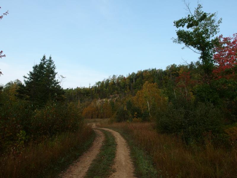 Road to the south bluff of Limestone Mountain