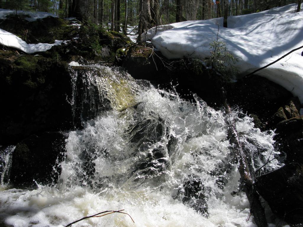 Blog | The Pup Creek Loop