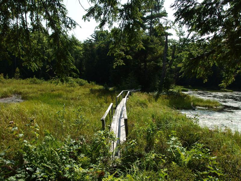 Boardwalk across Weary Lake