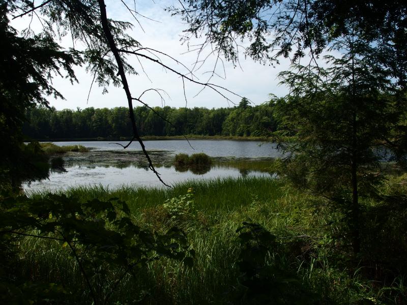 Last look over Weary Lake