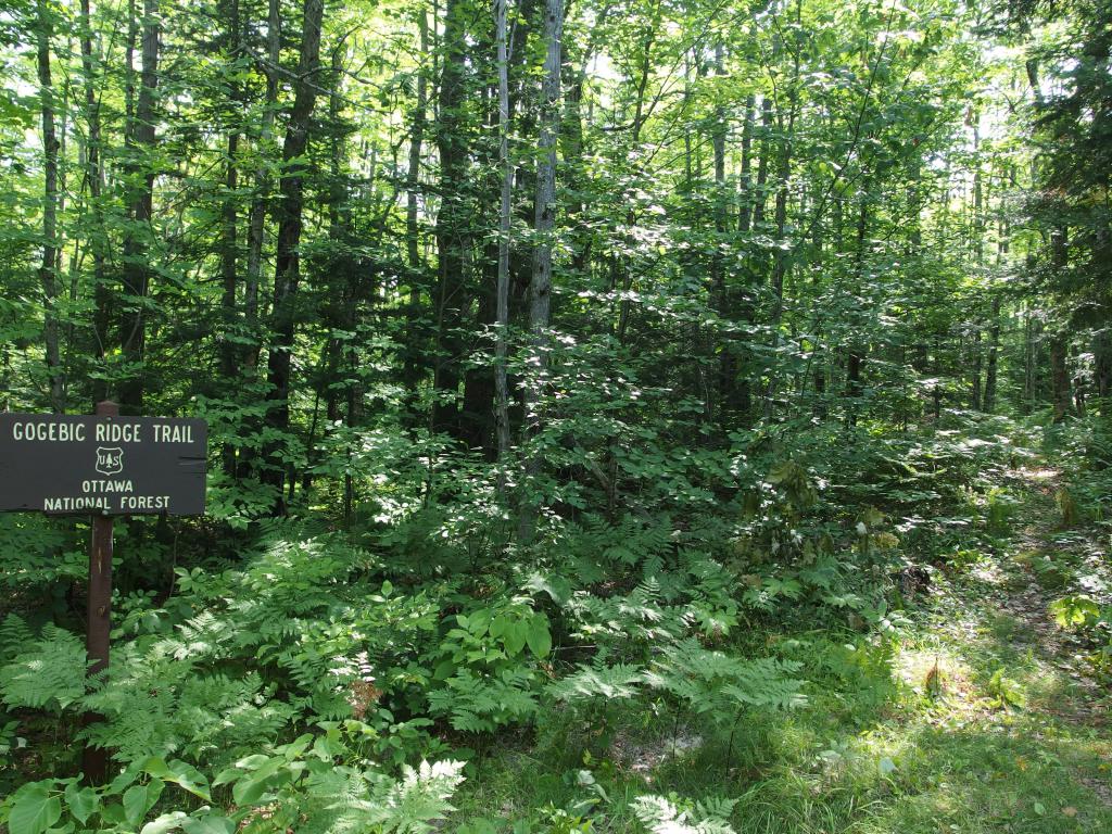 Blog | Maple Ridge of Merriweather