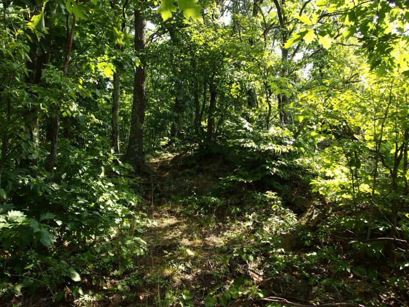 Trail parallel to the ridge