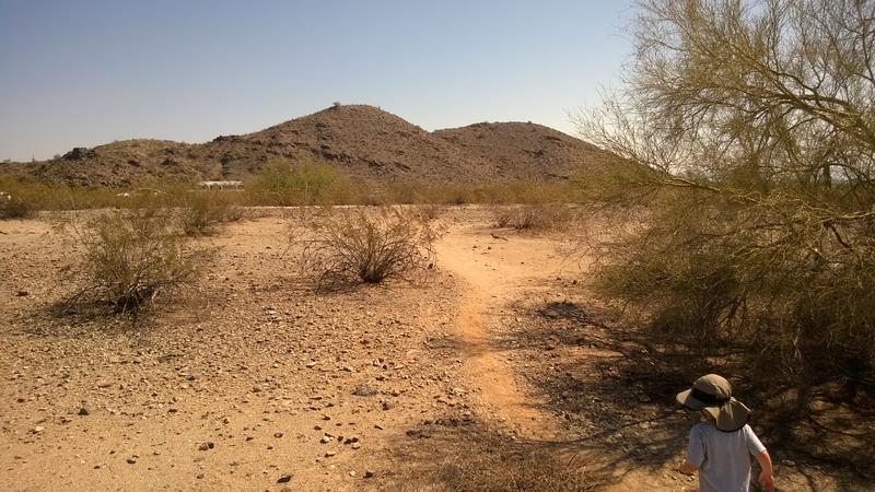 A road runner darting across our trail