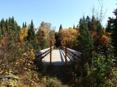 Fall colors around the bridge to the McCormick