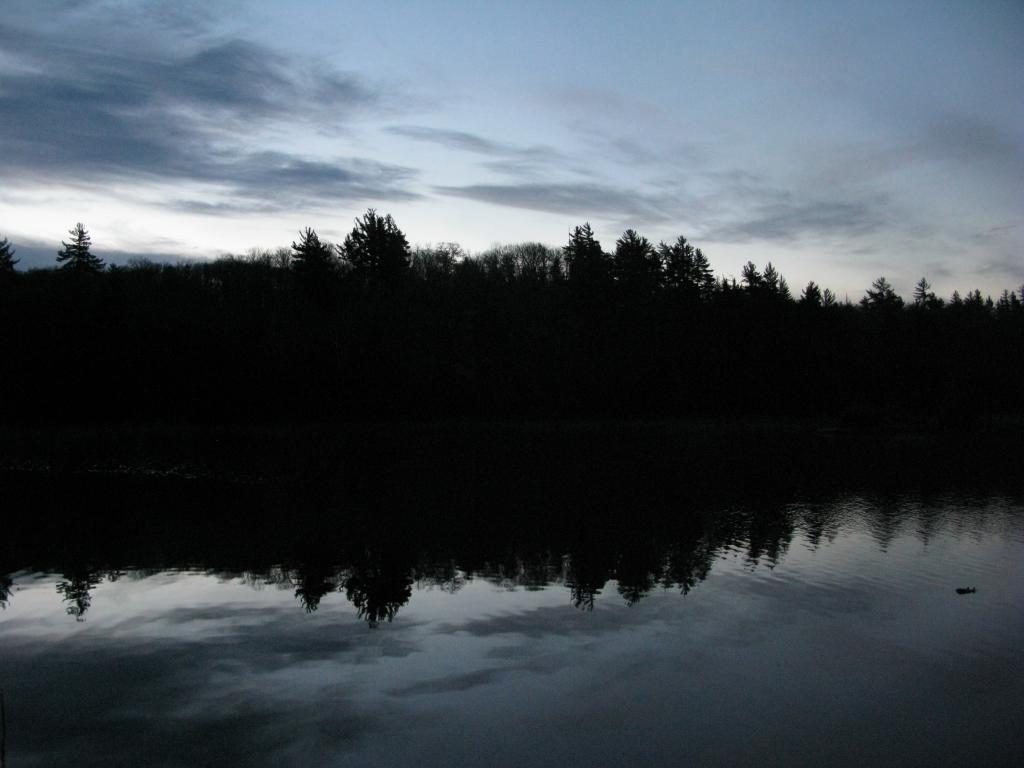 Blog | Lake Dortay of the McCormick Tract