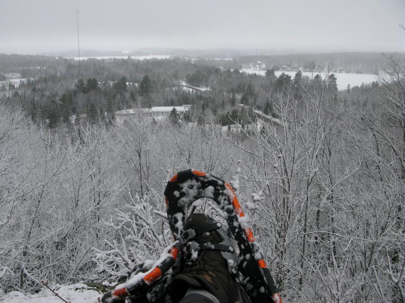 Wet snowshoes