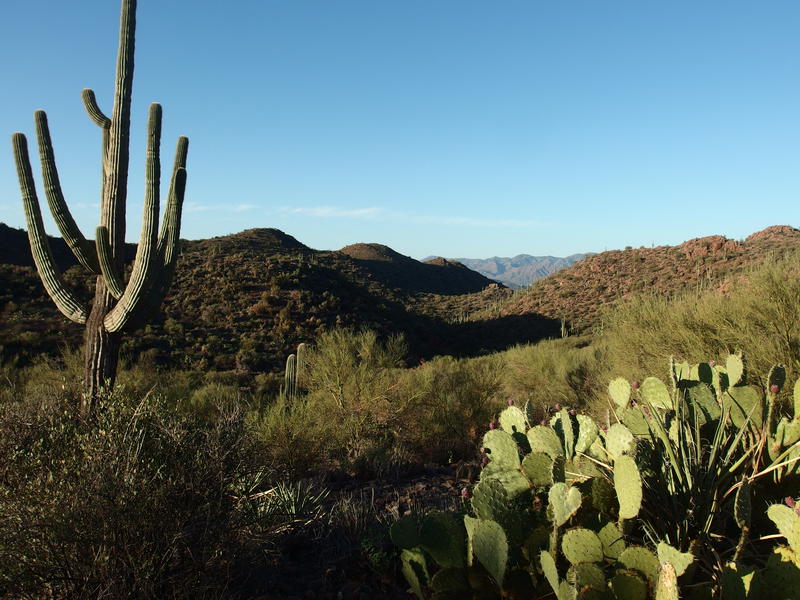 In the valley of Dutchman Grave