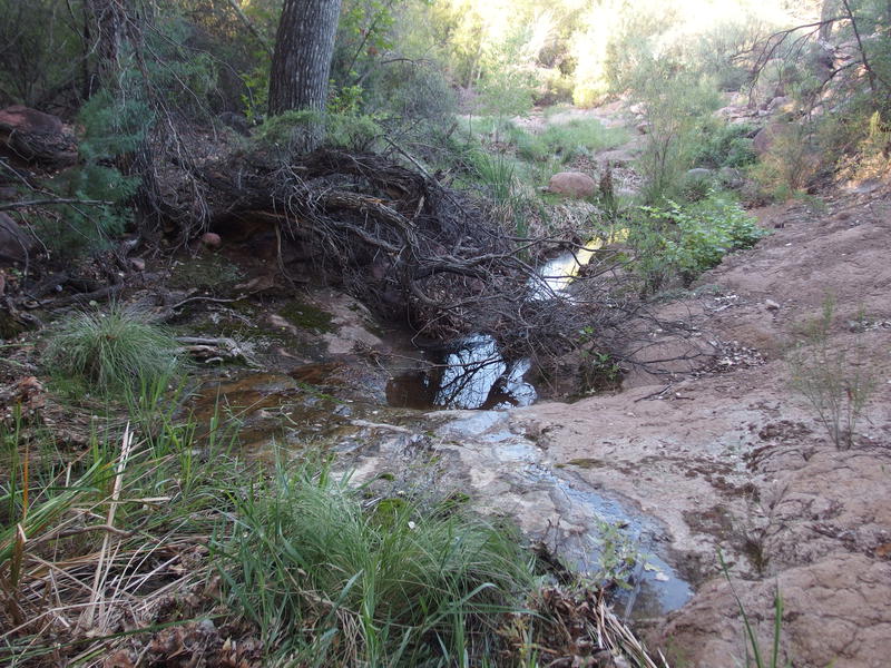 Flowing water at the lower spring