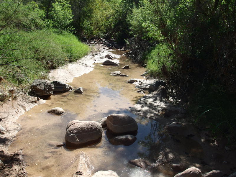 Water flowing along Sycamore Creek