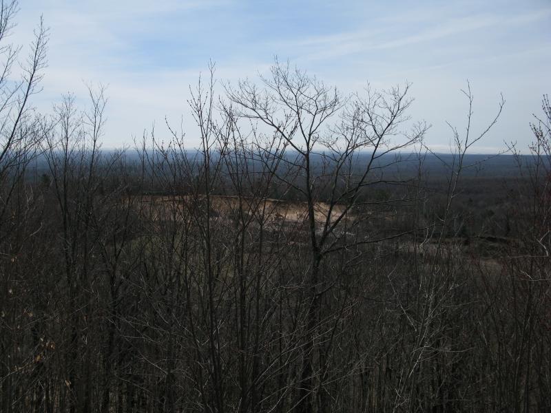 Sand pit through the trees