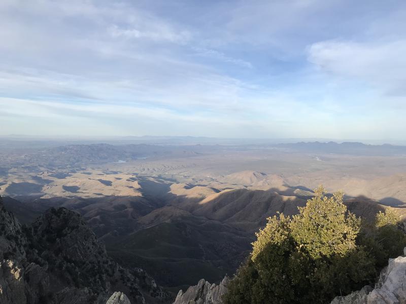 Long shadows cast to the west