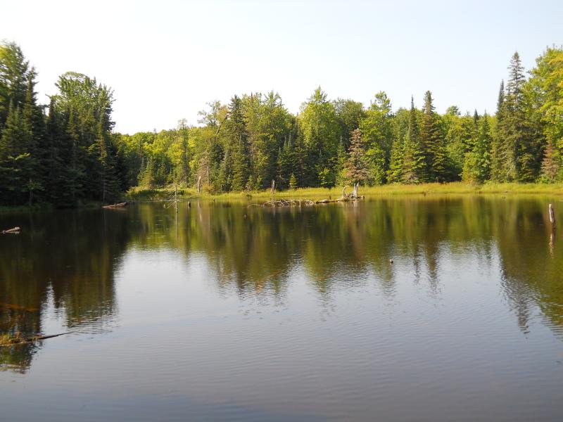Pond on Mount Arvon