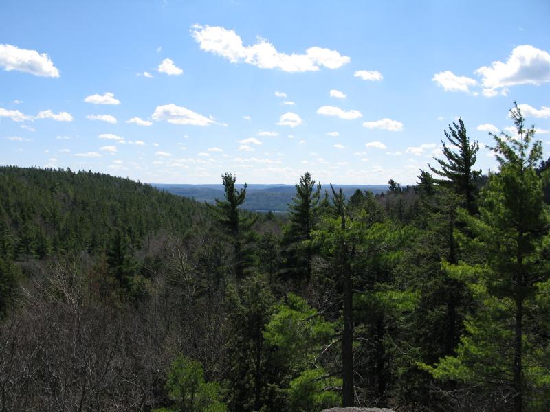 Mountain Lake glimpse, down Mink Run