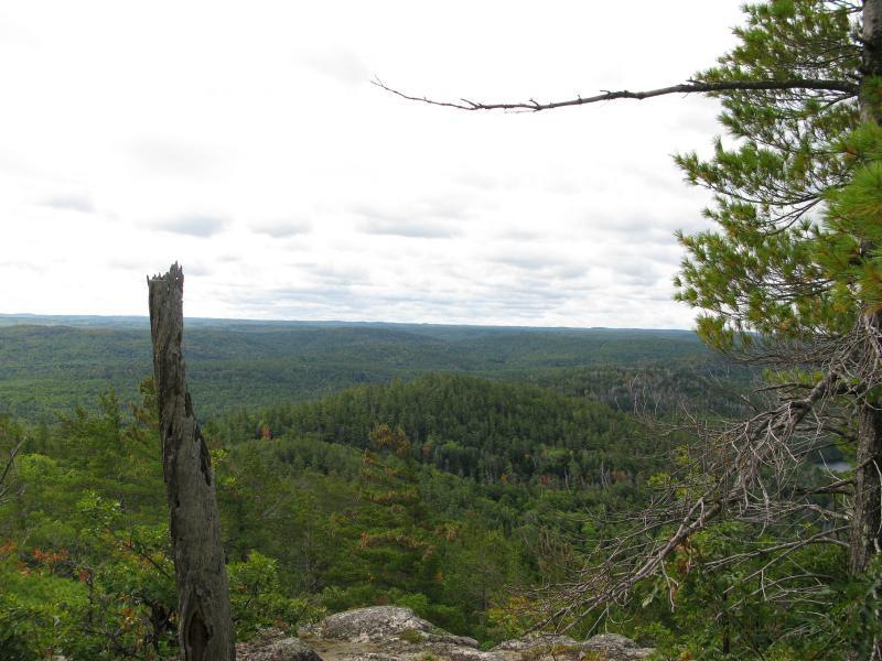 Looking south towards Yellow Dog Plains