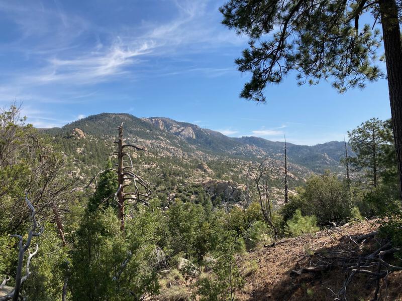 Top of Mount Lemmon in view