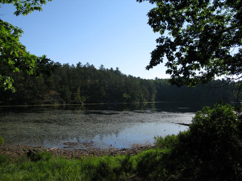 Swampy northeast pond of Three Lakes