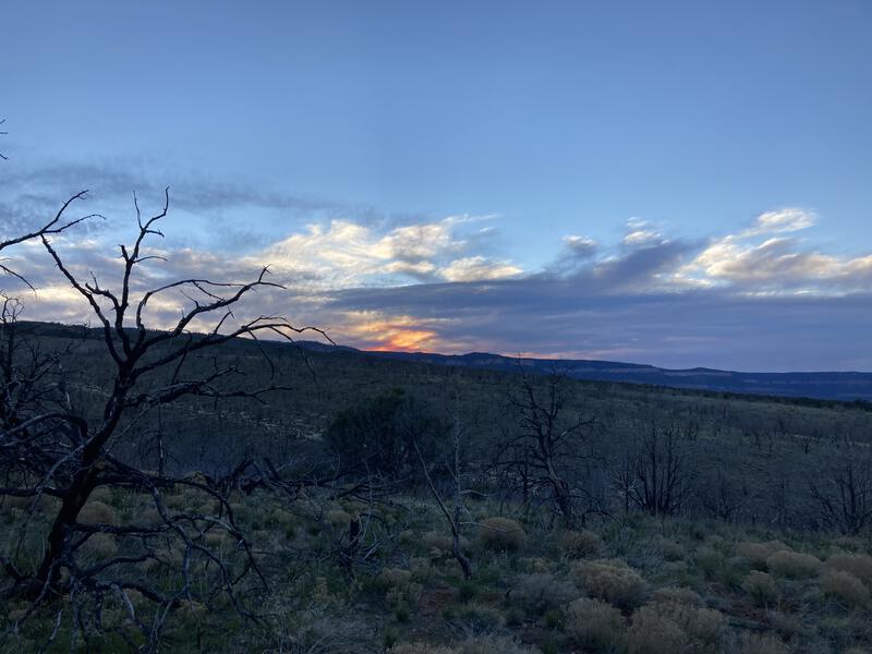 Evening colors on the Kaibab Plateau