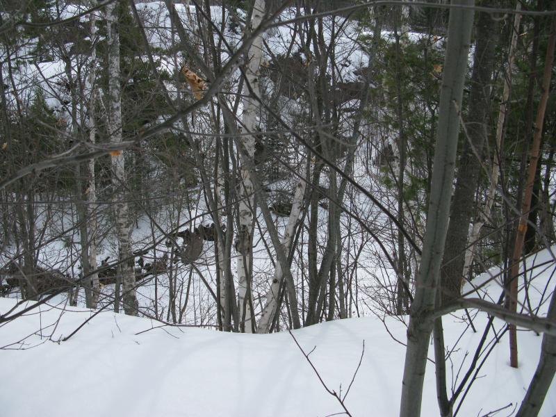 Looking down into the yawning mining pits