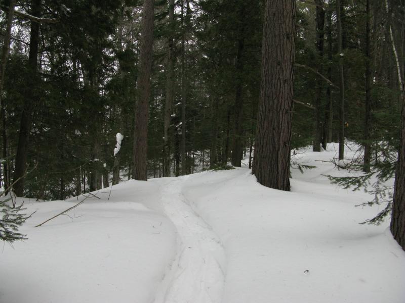 Narrow trail up the rise