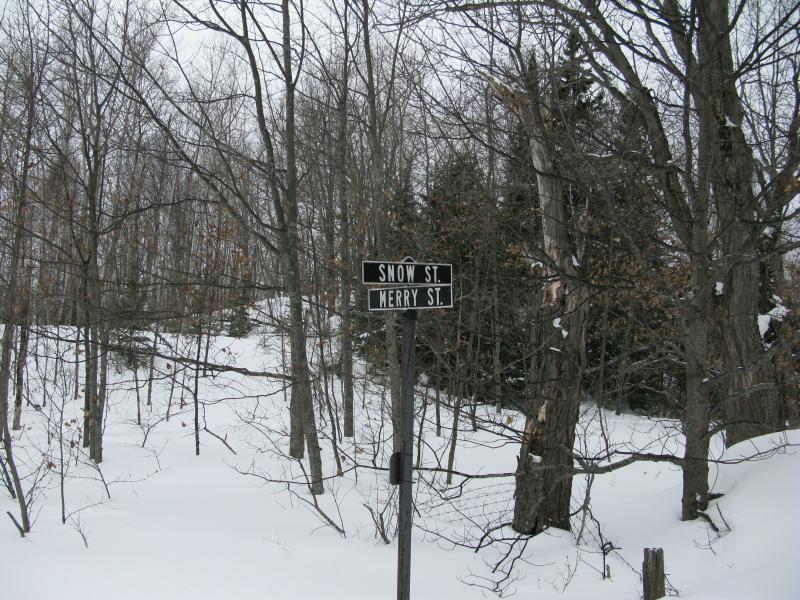 Old road signs in the woods