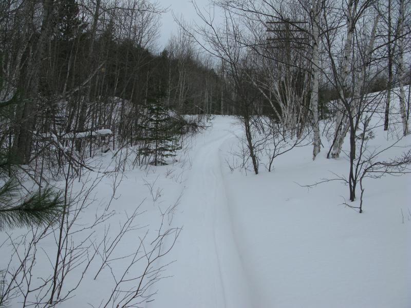 The well-groomed trail